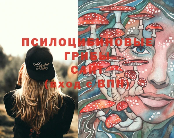 а пвп мука Алзамай
