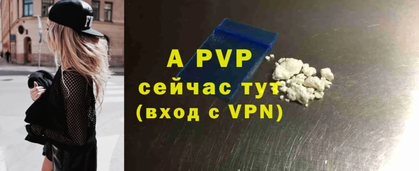 ешки Алексин