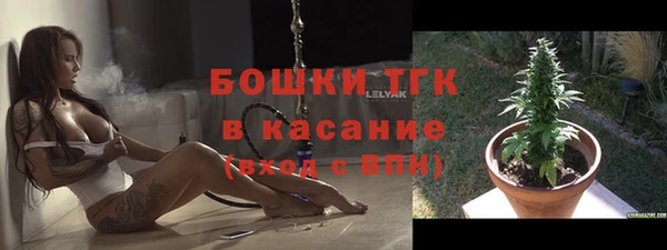 ешки Алексин