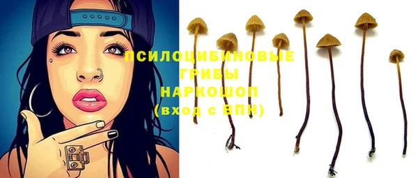 ешки Алексин