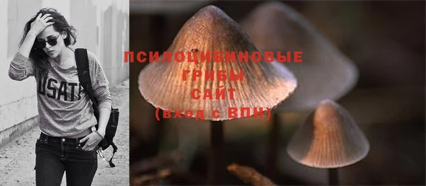 шишки Алексеевка