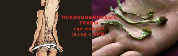 а пвп мука Алзамай