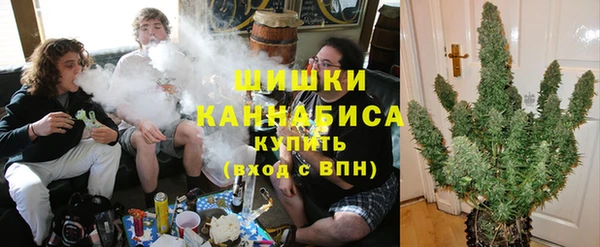 шишки Алексеевка