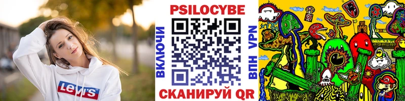 Псилоцибиновые грибы прущие грибы  Чишмы 